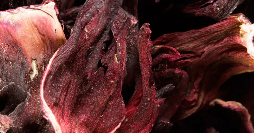 Hibiscus