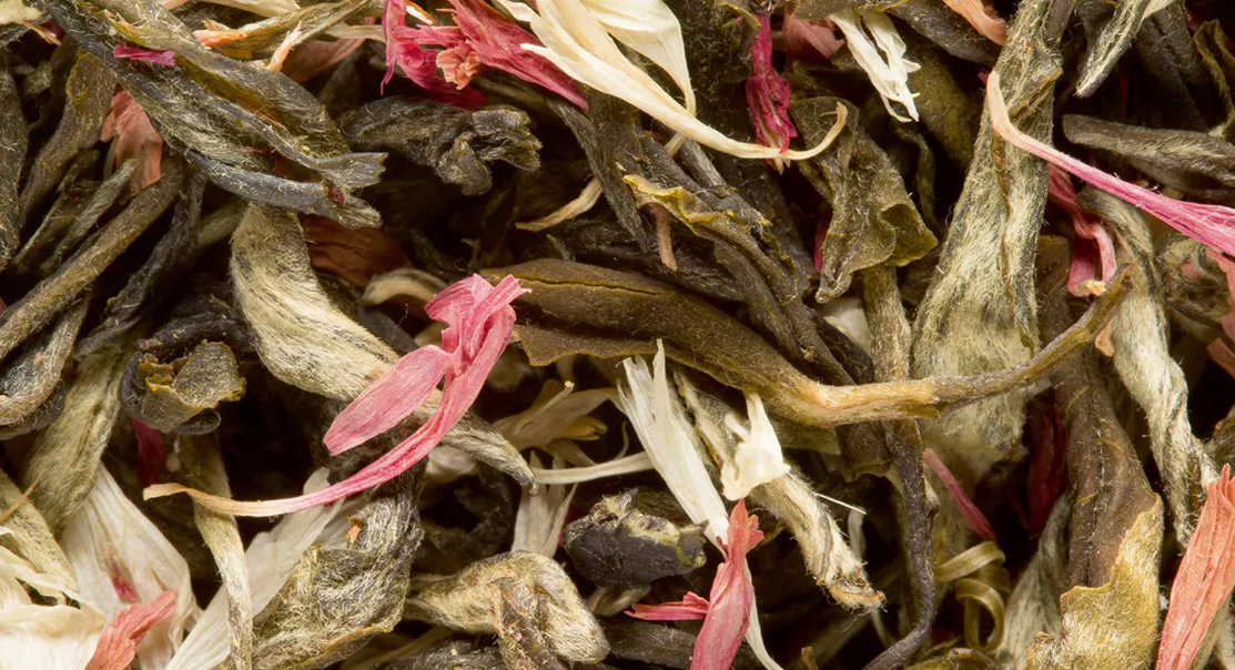 Christmas Tea Blanc