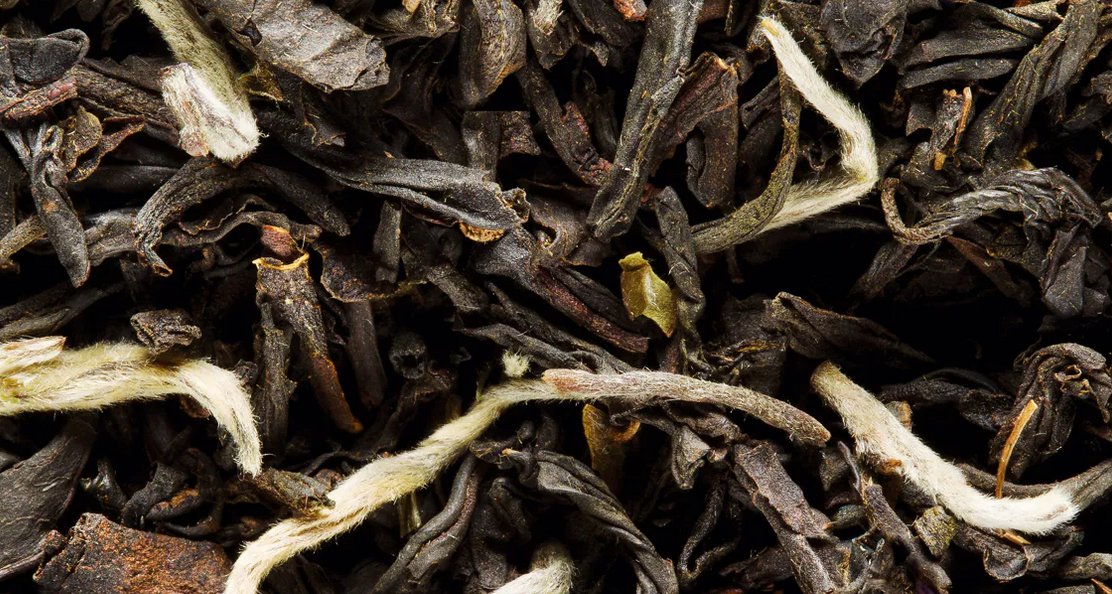 Earl Grey Pointes Blanches