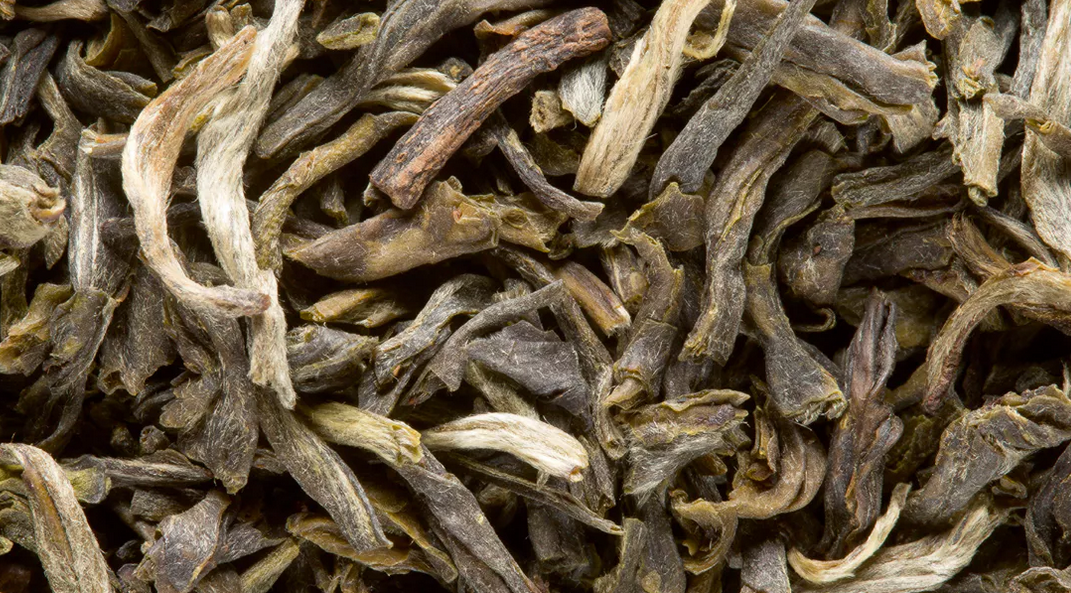 Yunnan Vert